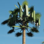 Types of Cell Towers - Palm Tree