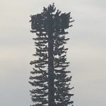 Types of Cell Towers - Pine 